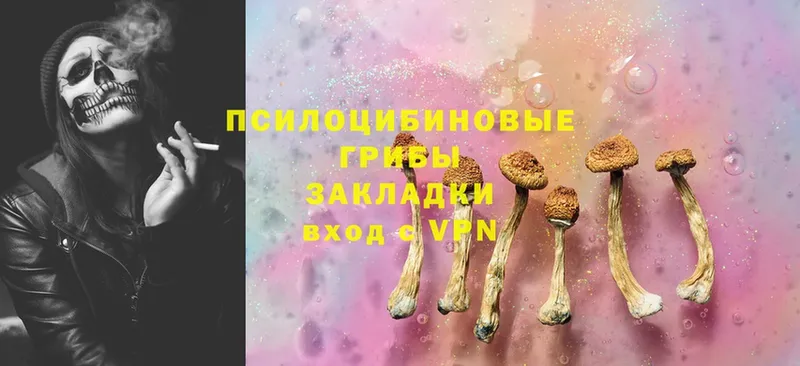 Псилоцибиновые грибы Cubensis  Электроугли 